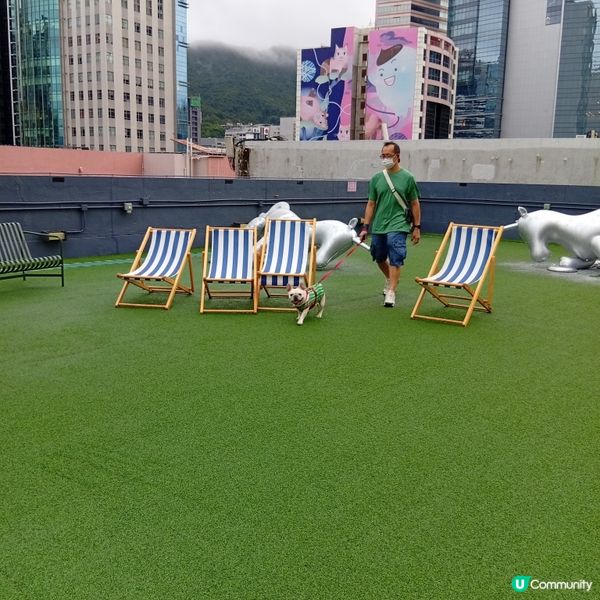 帶埋毛孩去放電！🐶💨 D2Place寵物花園等你嚟！