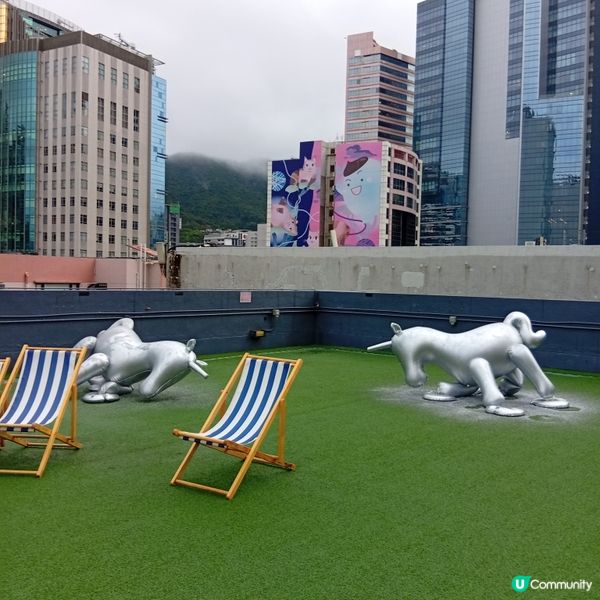 帶埋毛孩去放電！🐶💨 D2Place寵物花園等你嚟！