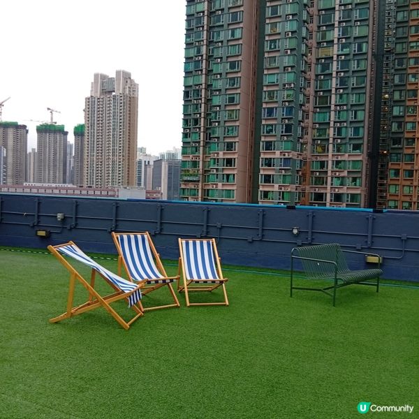 帶埋毛孩去放電！🐶💨 D2Place寵物花園等你嚟！