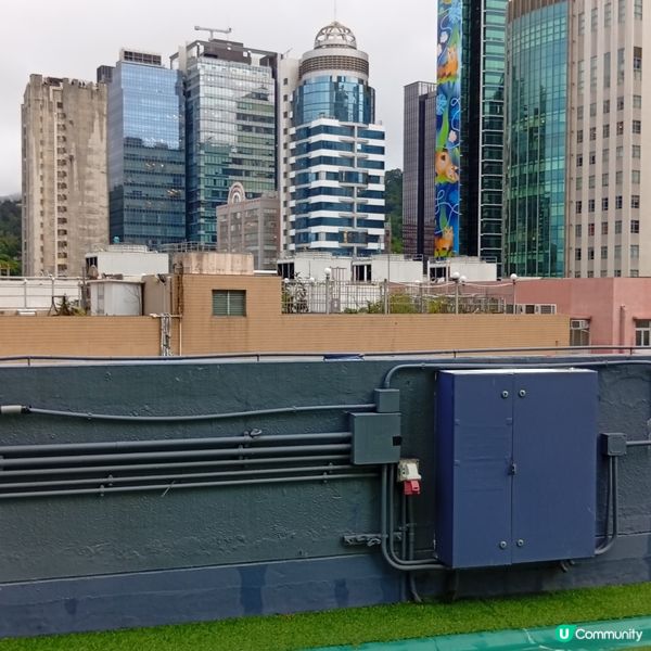 帶埋毛孩去放電！🐶💨 D2Place寵物花園等你嚟！