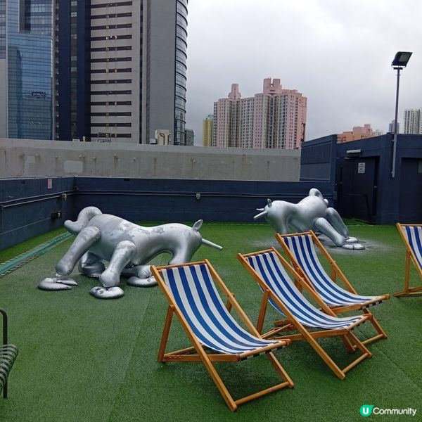 帶埋毛孩去放電！🐶💨 D2Place寵物花園等你嚟！