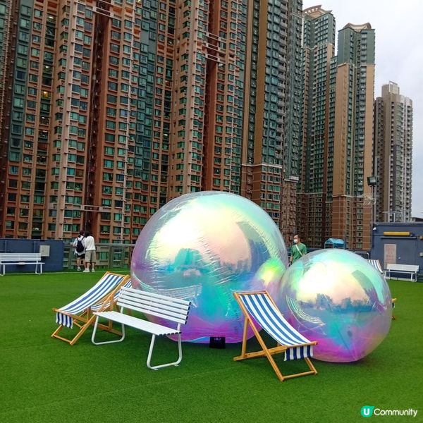 帶埋毛孩去放電！🐶💨 D2Place寵物花園等你嚟！