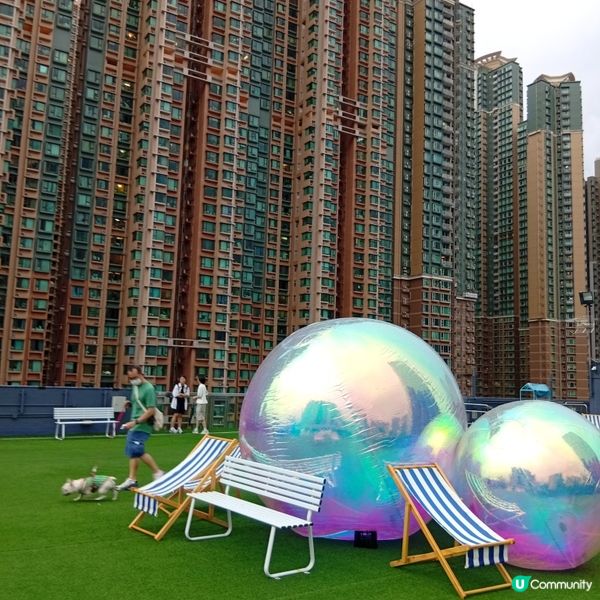 帶埋毛孩去放電！🐶💨 D2Place寵物花園等你嚟！