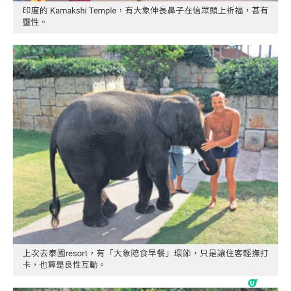 世界大象日 東南亞「與象同行」