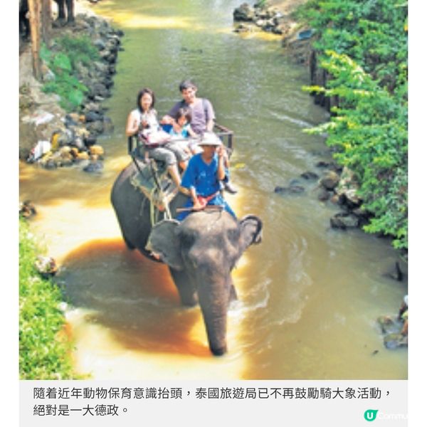 世界大象日 東南亞「與象同行」