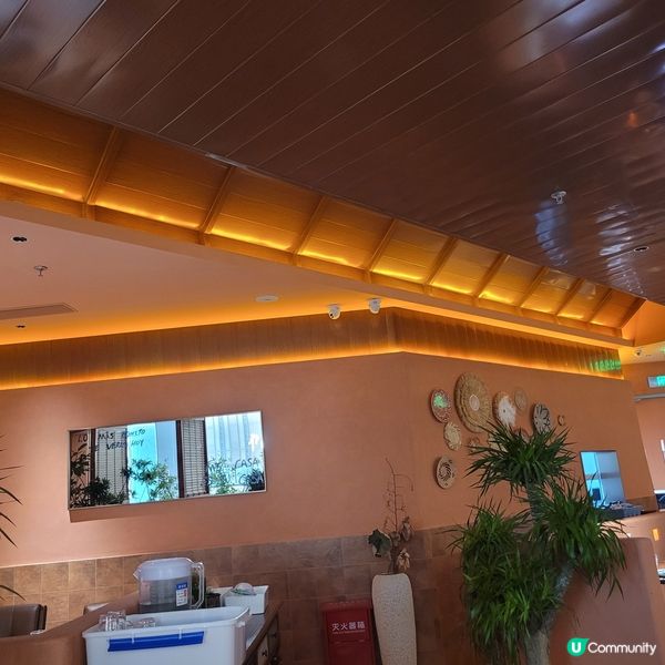 墨西哥🇲🇽深圳快閃！🇲🇽🌮😋