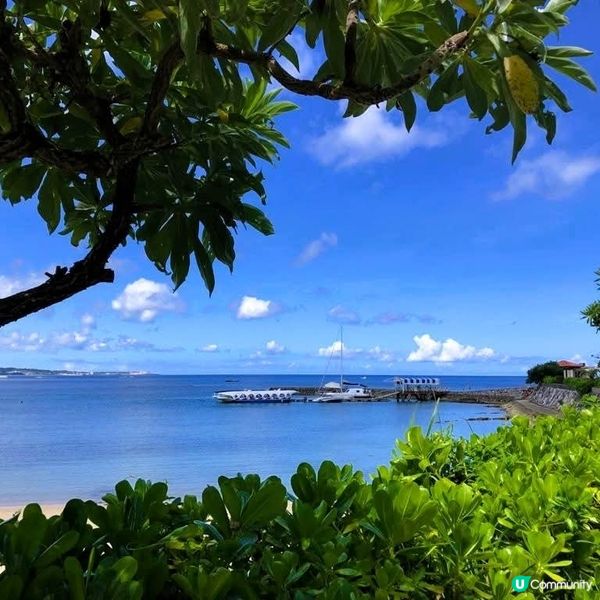 沖繩親子遊🌊！玻璃船睇魚仔🐠！ #沖繩旅行