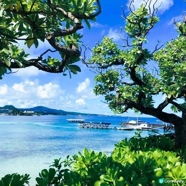 沖繩親子遊🌊！玻璃船睇魚仔🐠！ #沖繩旅行