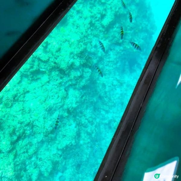 沖繩親子遊🌊！玻璃船睇魚仔🐠！ #沖繩旅行