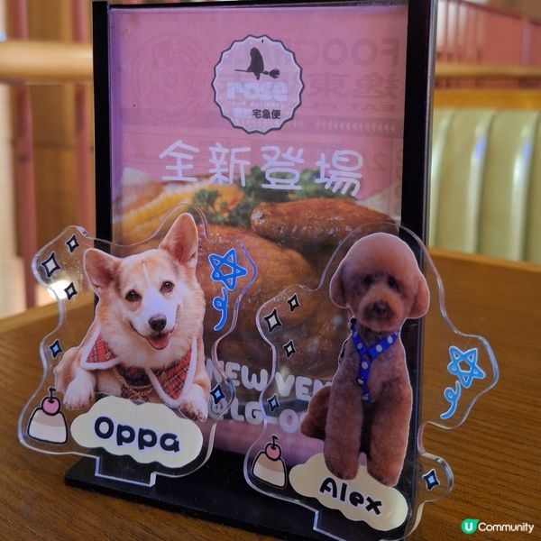 金牌燒雞🍗+酥炸牛腩😋！佐敦美食推介！