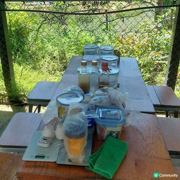 西貢一日遊！鹽田梓chill爆！🌊☀️ 玩轉海島！😎