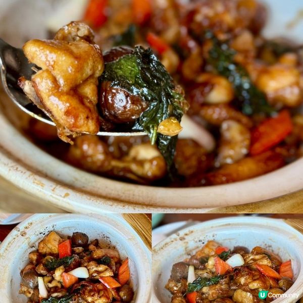 超美味的午餐！