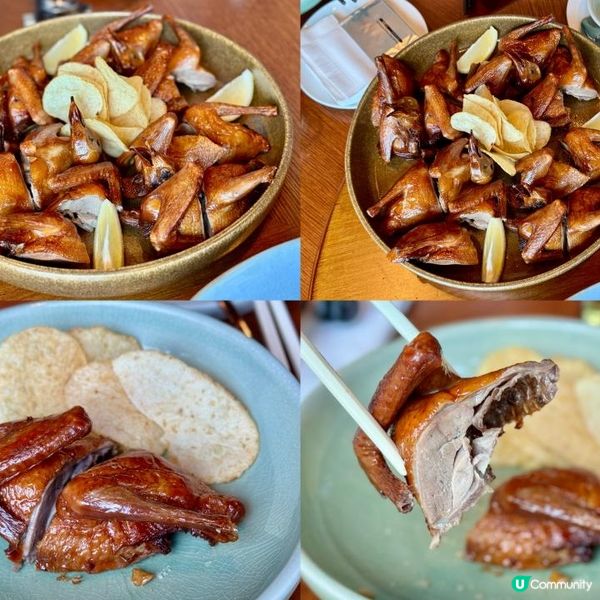 超美味的午餐！