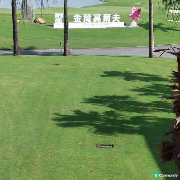 金灣高爾夫球場🏌‍♂️⛳️