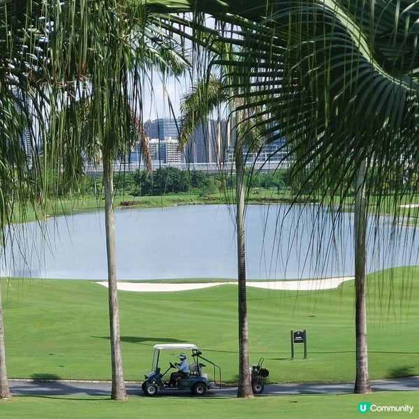 金灣高爾夫球場🏌‍♂️⛳️