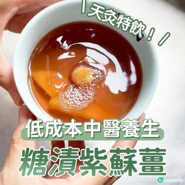 糖漬紫蘇薑 ｜低成本中醫養生ep.6