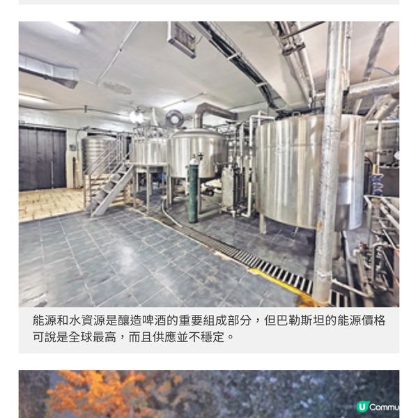 訪巴勒斯坦兄弟檔釀酒廠以手工啤 釀造土地文化和記憶