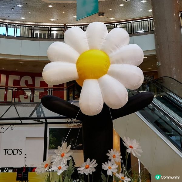 G-DRAGON全球巡展登陸海港城 巨型雛菊打卡位 香港站獨