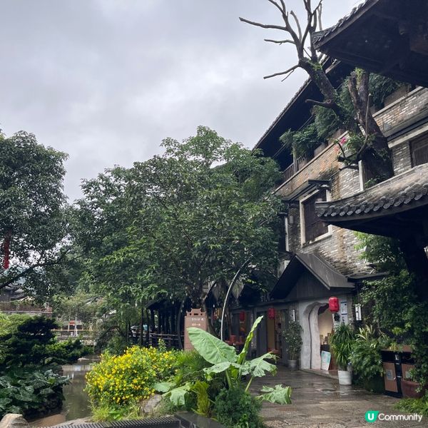 甘坑古鎮一日遊❤️免費玩轉深圳🤩🏞️