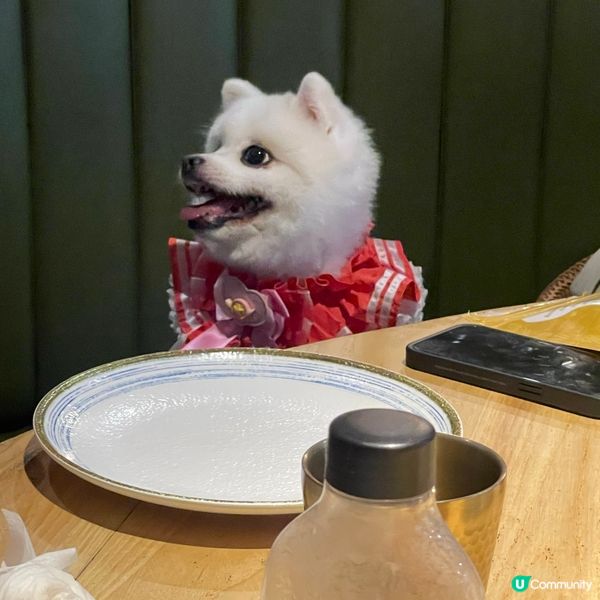 1.  泰國菜生日飯🥳！狗狗都係屋企人🐶！環境一流📸！