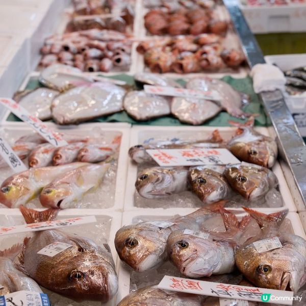 短逗留新潟海鮮市場好選擇！🍣🦀🐟 