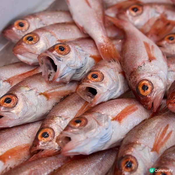 短逗留新潟海鮮市場好選擇！🍣🦀🐟 