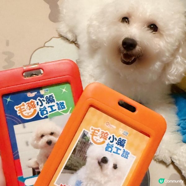 毛孩小編再臨！嘉年華等你🥳！