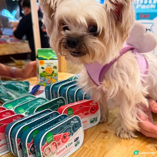 毛孩小編再臨！嘉年華等你🥳！