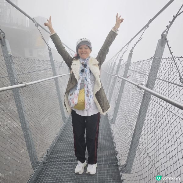 瑞士鐵力士山🗻體驗全球獨創360度旋轉纜車🚠