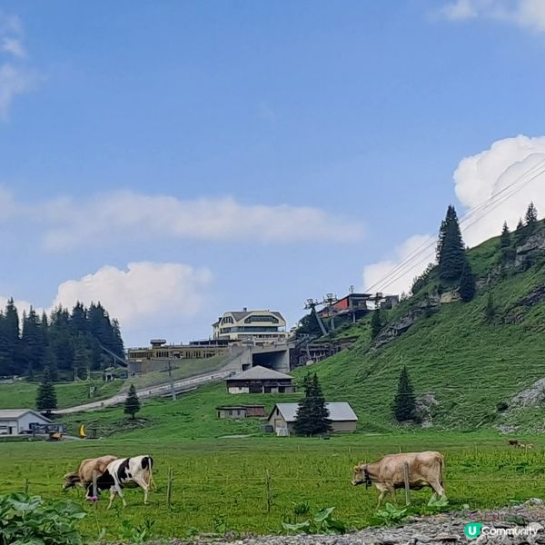 探索瑞士鐵力士山🗻中途站特呂布湖🏞