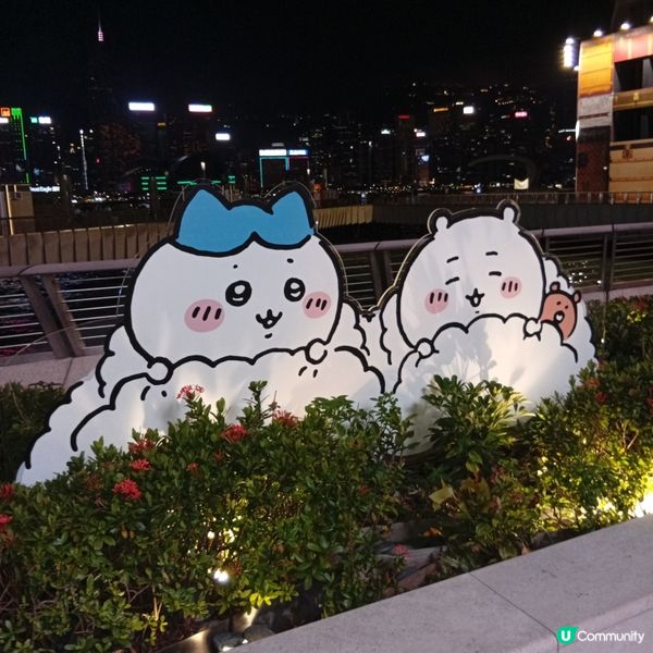 Chiikawa大型特展倒數！把握最後機會📸！