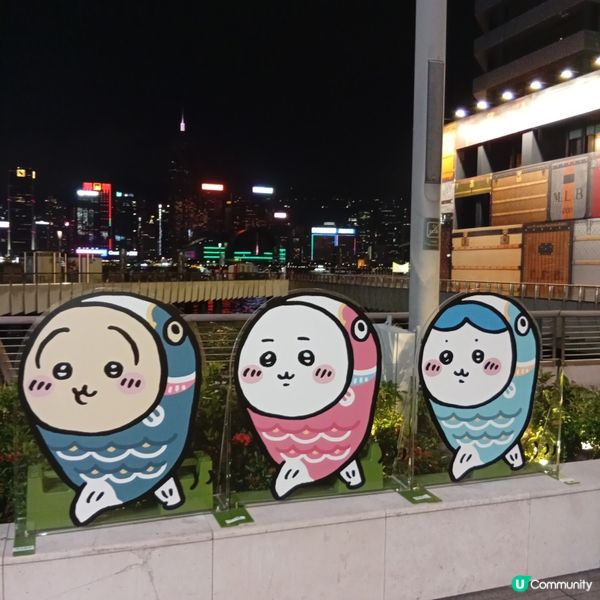 Chiikawa大型特展倒數！把握最後機會📸！