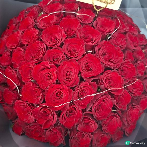 今日求婚大作戰！99枝紅玫瑰🌹浪漫爆燈！💖