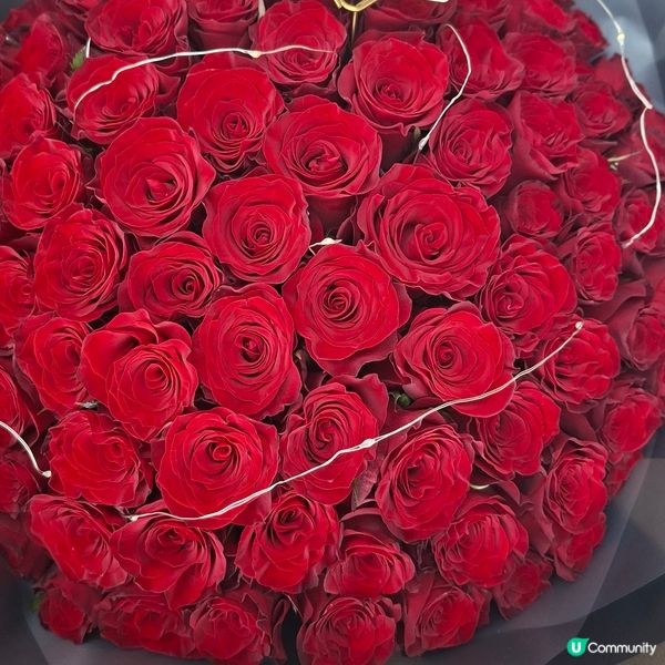 今日求婚大作戰！99枝紅玫瑰🌹浪漫爆燈！💖