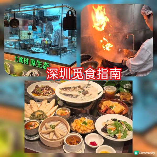 深圳覓食攻略！港友必睇😋 北上食咩好？