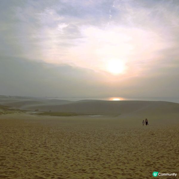 一生人必去！鳥取砂丘打卡📸！風紋超靚！