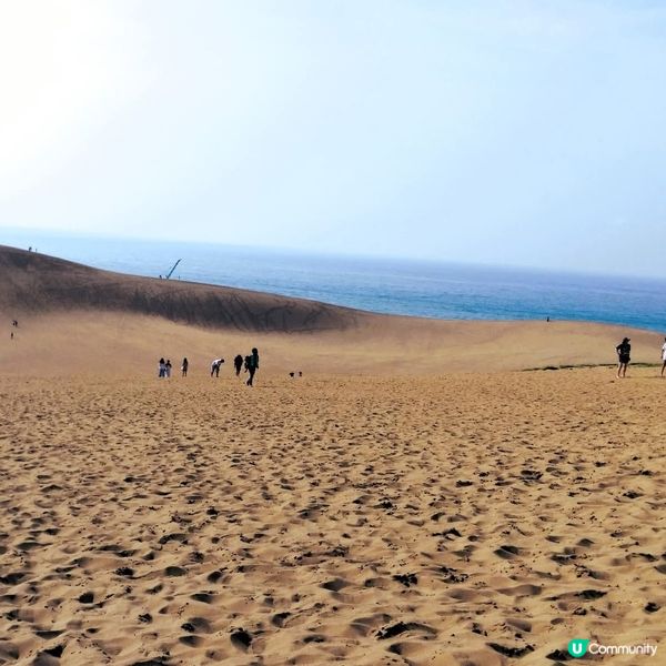 一生人必去！鳥取砂丘打卡📸！風紋超靚！