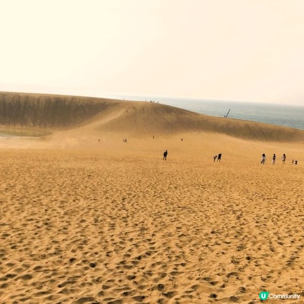 一生人必去！鳥取砂丘打卡📸！風紋超靚！