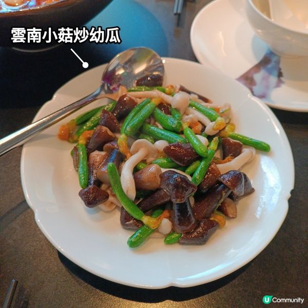 週末深圳慶生🥳！椿庐超值四人套餐