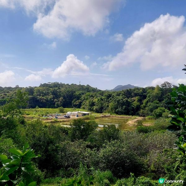 西貢鹽田梓一日遊！☀️ 玩水行山好去處！