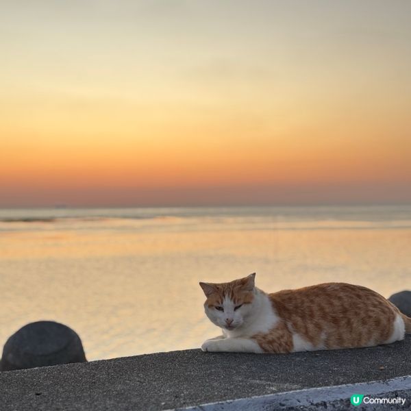 沖繩日落🌅 美國村打卡一流！🌇