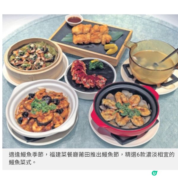 福建菜莆田6道鰻魚菜式泉水熬活鰻 享受啖啖魚鮮