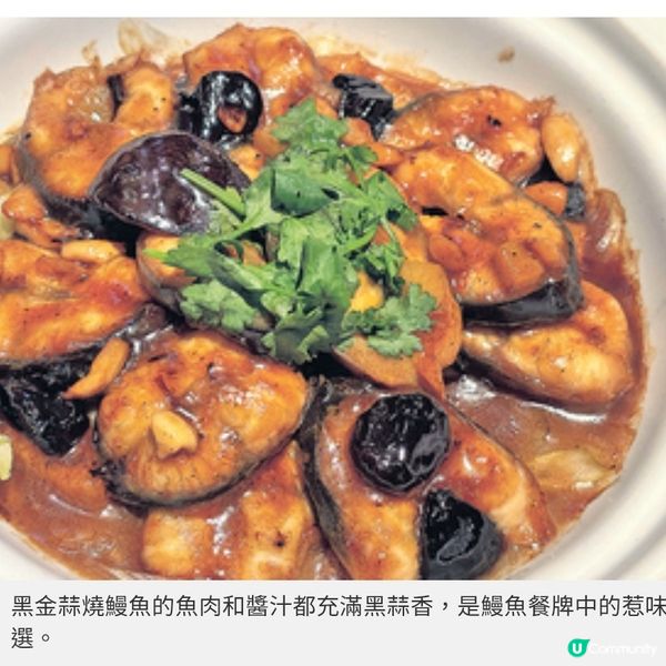 福建菜莆田6道鰻魚菜式泉水熬活鰻 享受啖啖魚鮮