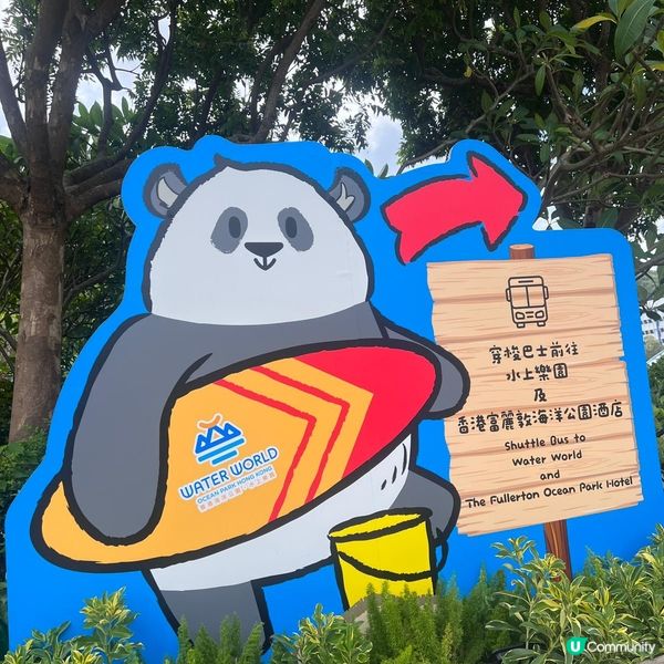 夏天就該玩水🌊必去水上樂園狂歡派對🥳