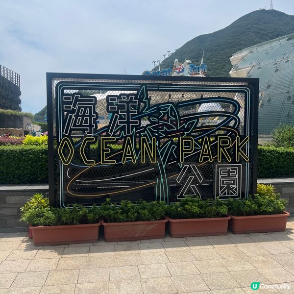 海洋公園水上樂園🌊！刺激又開心🥳！一家大細消暑好去處