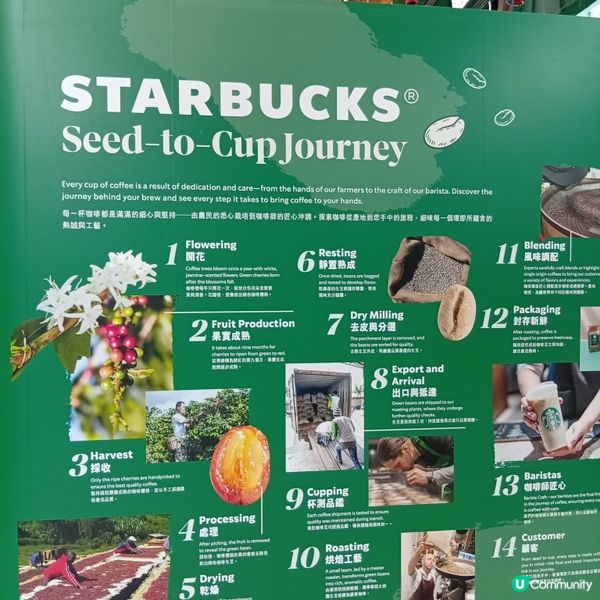 星巴克25周年！太古城打卡和試飲📸，咖啡迷必去！☕🥳