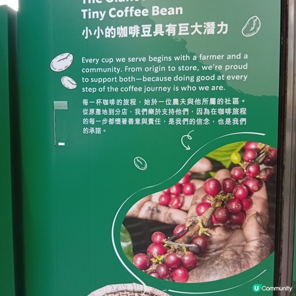 星巴克25周年！太古城打卡和試飲📸，咖啡迷必去！☕🥳