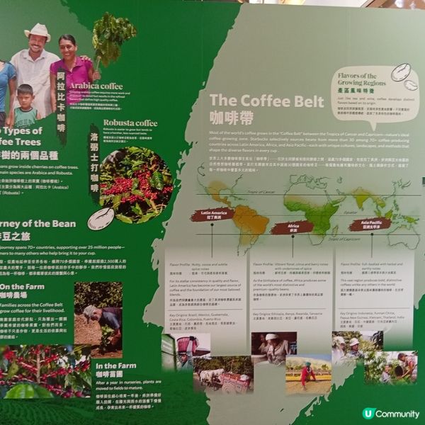 星巴克25周年！太古城打卡和試飲📸，咖啡迷必去！☕🥳