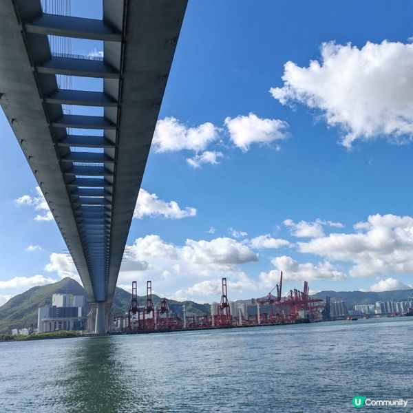 昂船洲大橋：維港巨龍🐉！打卡靚景📸！