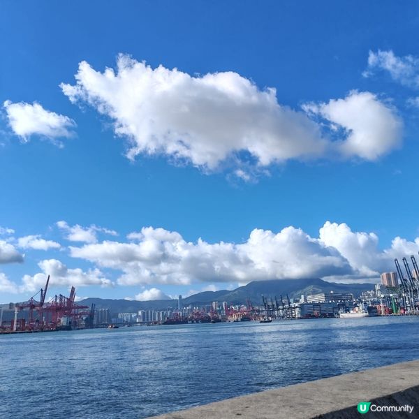 昂船洲大橋：維港巨龍🐉！打卡靚景📸！